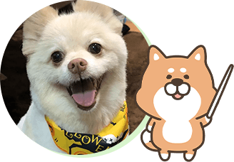 先生紹介